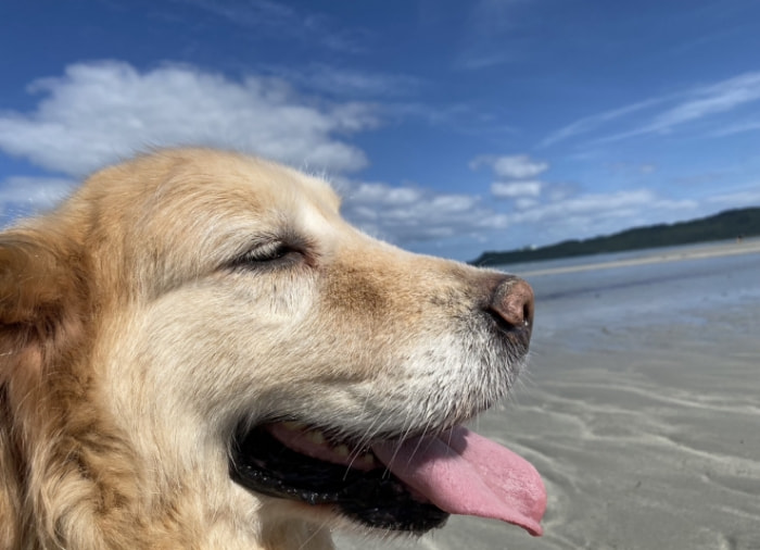 人も動物も心地よい暮らし